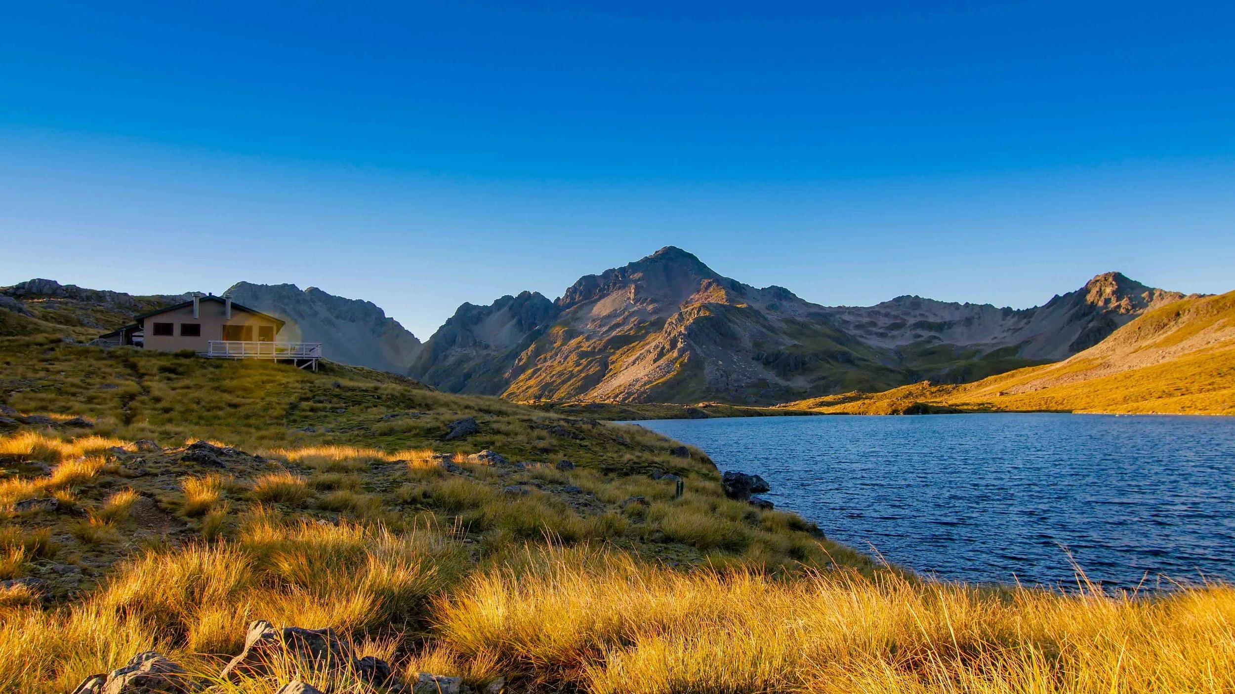 Read more about the article The best private hiking adventures in New Zealand